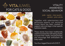 Load image into Gallery viewer, CROWNJUWEL – OCEAN BLUE